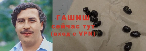 стаф Корсаков