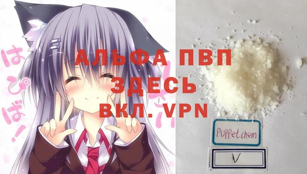 эйфоретик Алексин