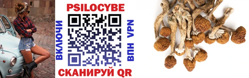 Галлюциногенные грибы Psilocybine cubensis Отрадное